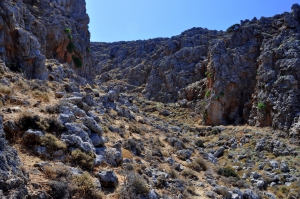 Agriomandra Schlucht