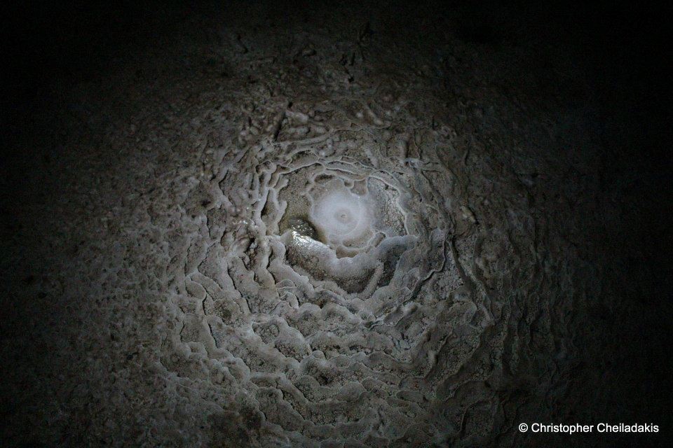 Διάκοσμος στο Σπήλαιο Καμηλάρη
