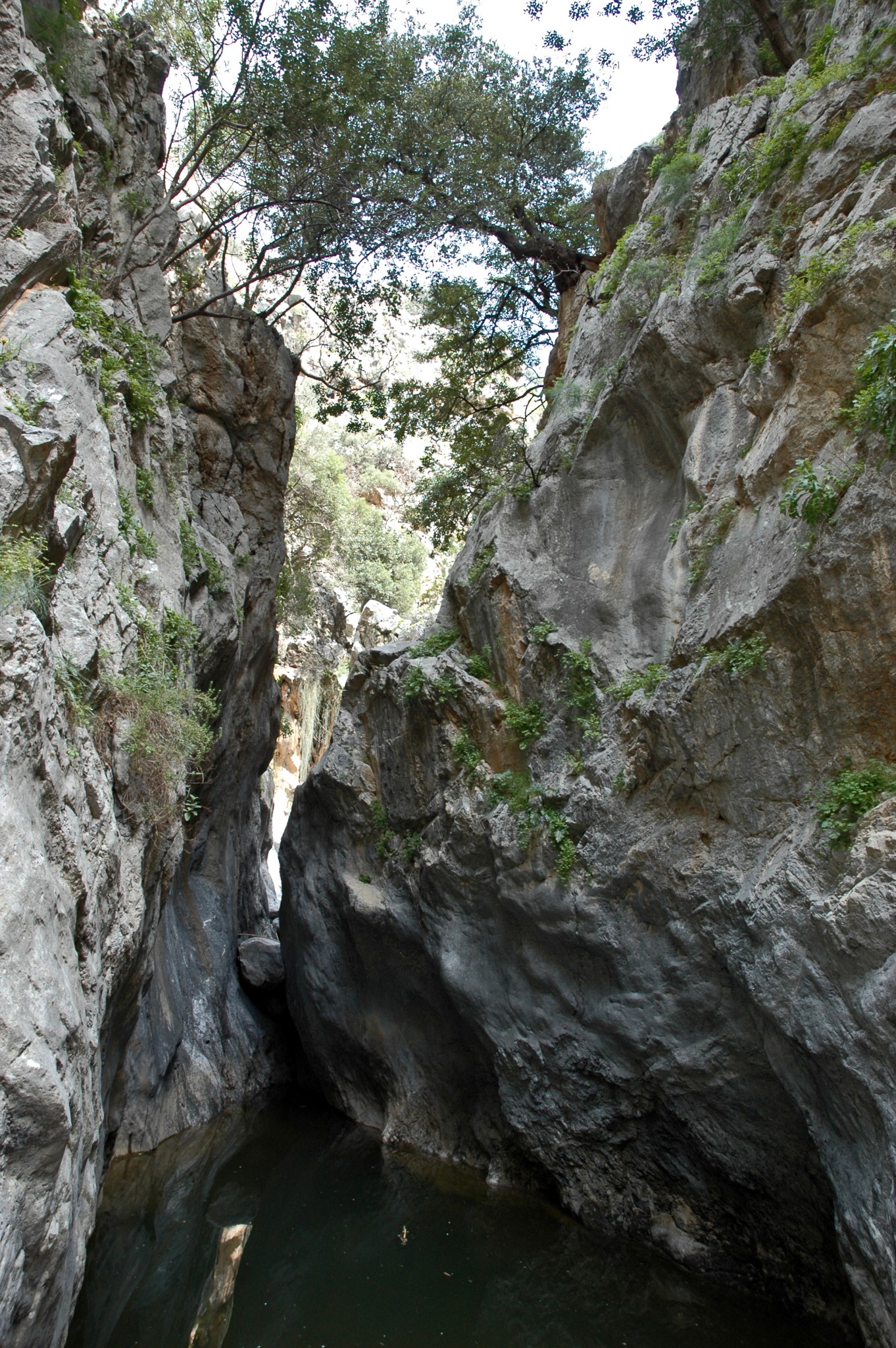⭐ Travel Guide for Island Crete ⛵, Greece - Goniano Gorge