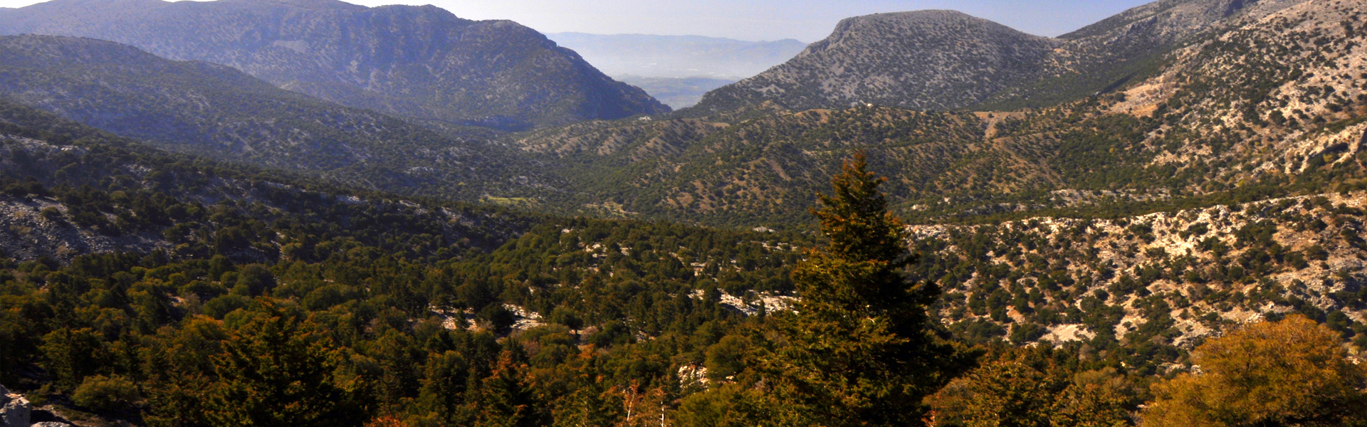 Rouvas gorge at Psiloritis Range