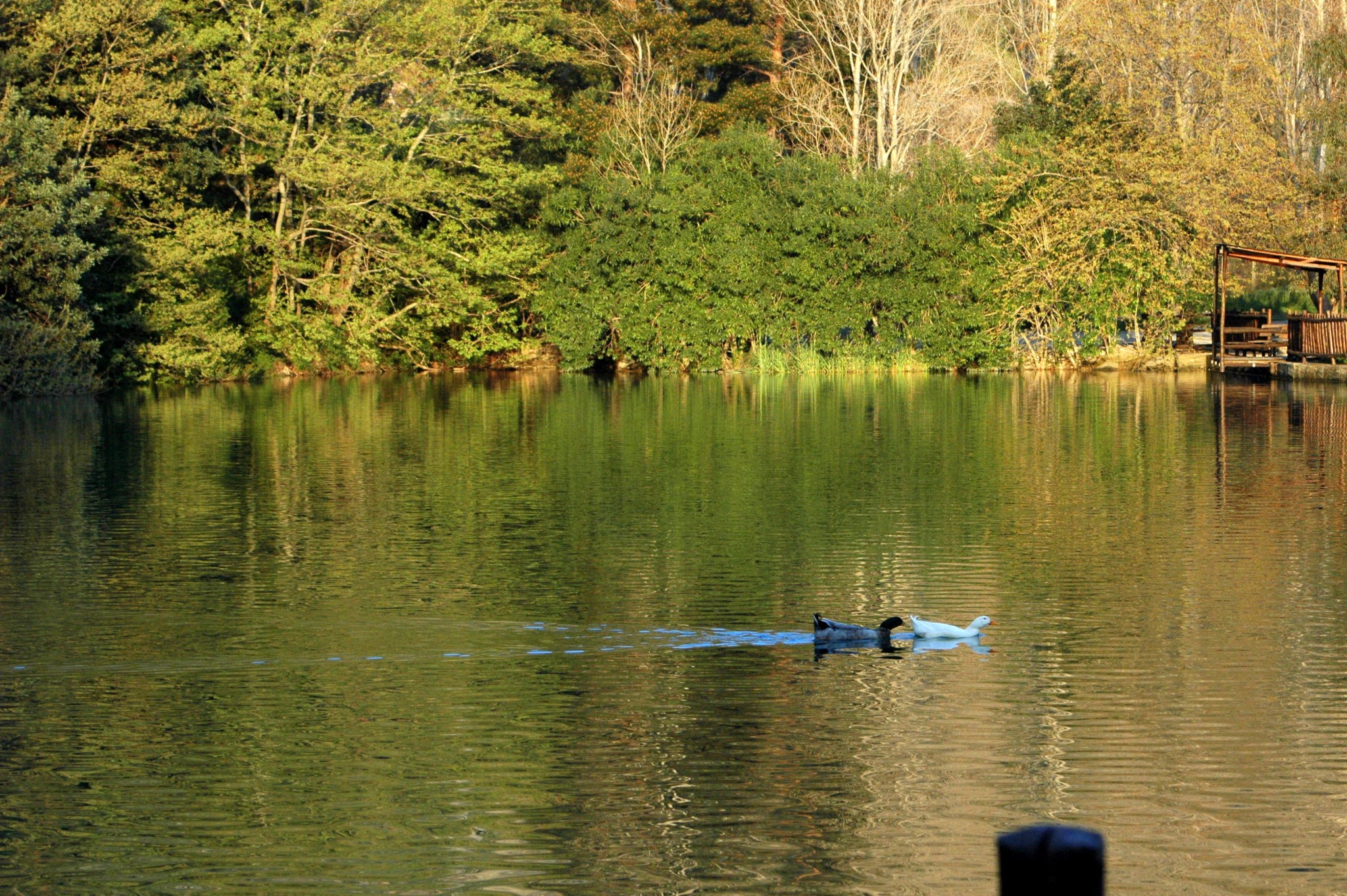 Votomos Lake, Zaros