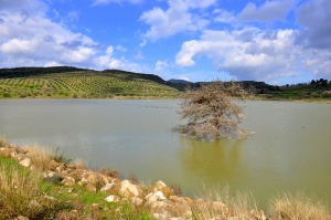 Armanogia Dam Lake