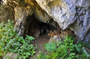 Пещера Хосто Неро