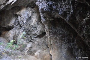 Eileithyia Cave in Tsoutsouras