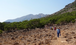 Trail Agios Ioannis - Agios Antonios - Koudoumas