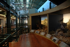 Naturhistorisches Museum von Kreta