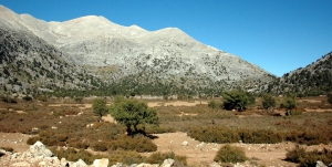 Niatos Plateau