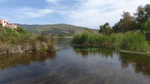 Almiros Wetland at Georgioupolis