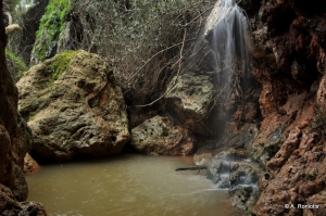 Skotini Waterfall at Fodele