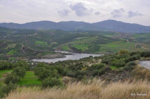 Chalavrianos Dam Lake