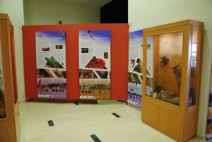 Naturhistorisches Museum von Zakros