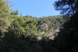 Ущелье Прассе (Аскидиа)