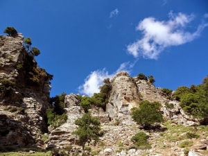 Trail Gerakari - Fourfouras - Toumbotos Prinos