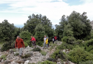 Trail Hamoprina - Azilakodasos - Vrachassotis