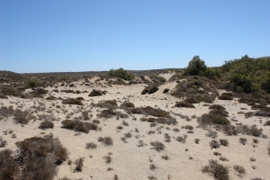 Elia Desert